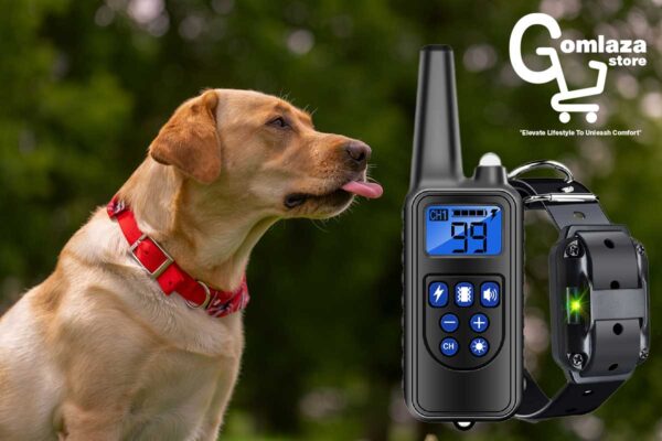 Dog-Wearing-ActiveSync-Canine-Commander-Collar-from-Gomlaza-Store